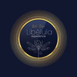 Programa libélula experience