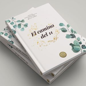 El Camino del 11